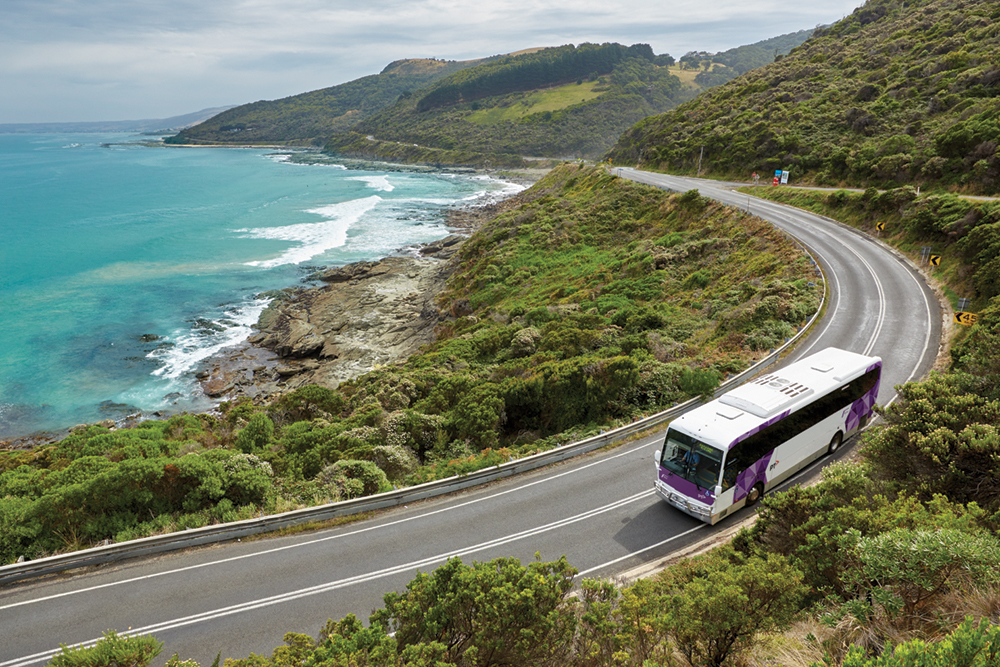 Regional coach on Great Ocean Road