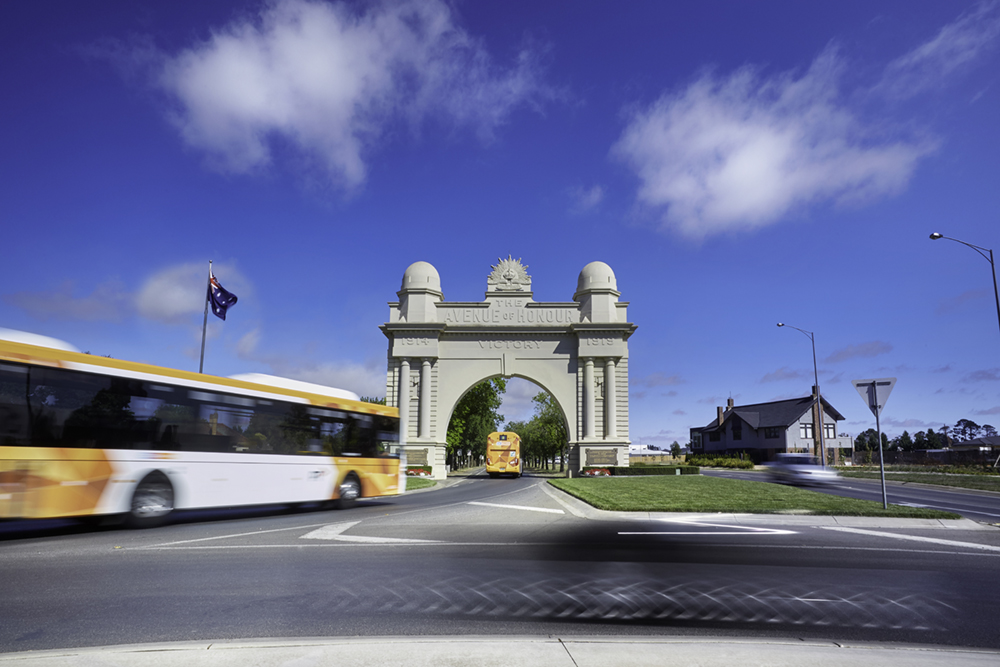 Buses travelling under Ballarat Avenue of Honour